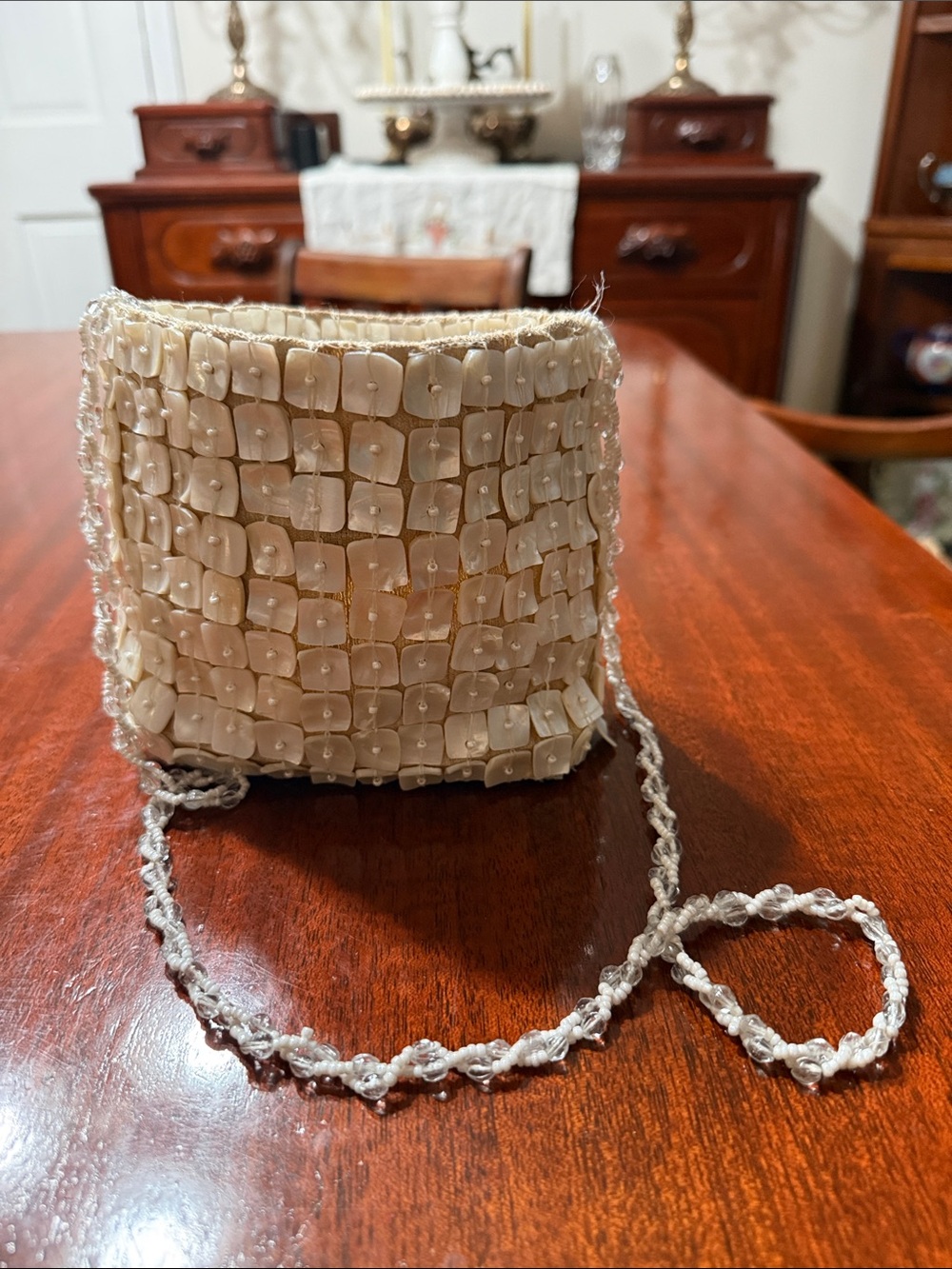 Moyna Mother of Pearl Bag